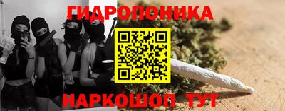 стафф Вязьма