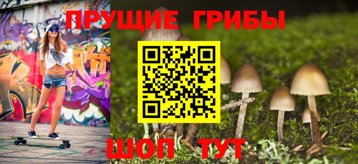 Псилоцибиновые грибы мицелий  Вход с VPN  Моздок 